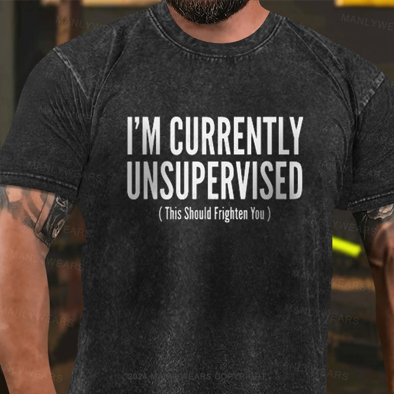 I'm Currently Unsupervised This Should Frighten You Washed T-Shirt