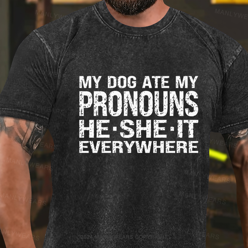 My Dog Ate My Pronouns He She It Everywhere Washed T-Shirt