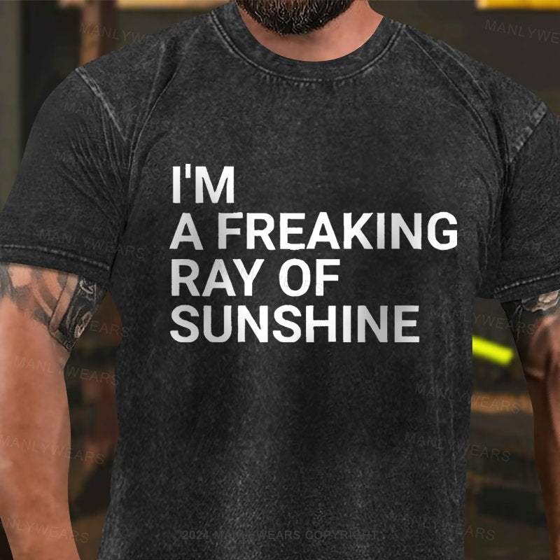 I'm A Freaking Ray Of Sunshine Washed T-Shirt