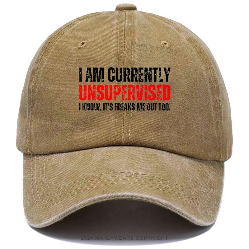 I Am Currently Unsupervised I Know ,it's Freaks Me Out Too Hat