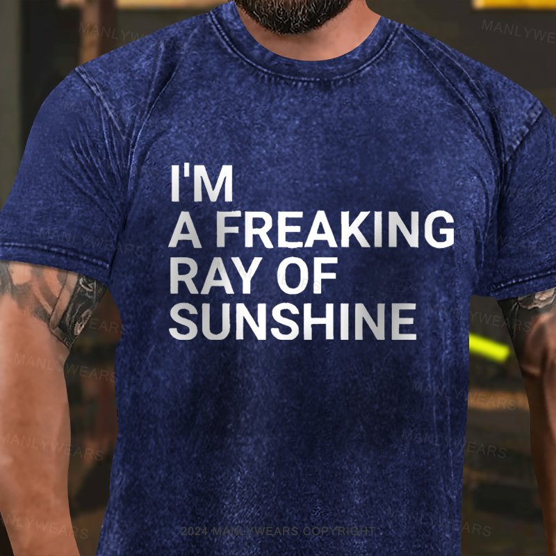 I'm A Freaking Ray Of Sunshine Washed T-Shirt