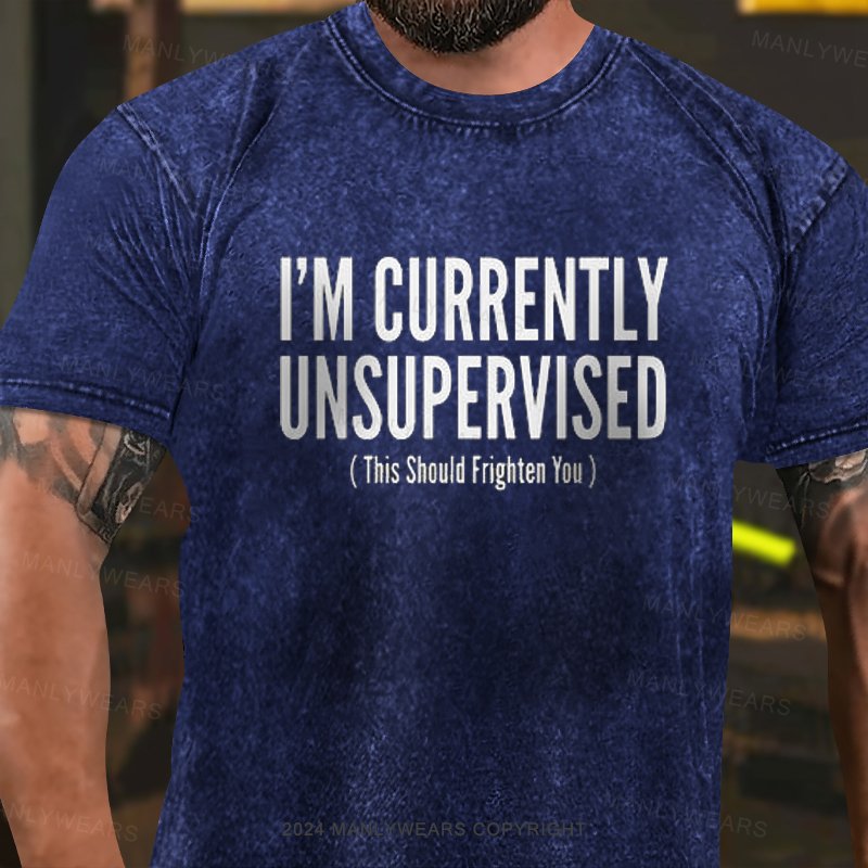 I'm Currently Unsupervised This Should Frighten You Washed T-Shirt